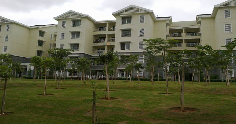 Sobha Dewflower Cover image